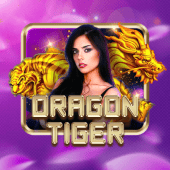 Dragon Tiger live casino on 789bingo apk