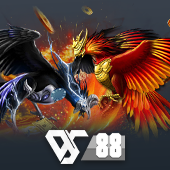 Sabong live on 789bingo apk